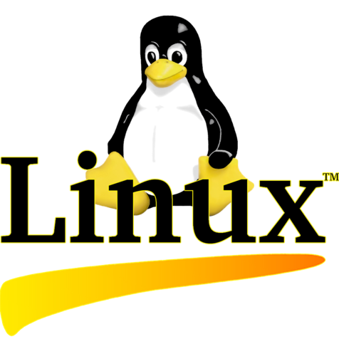 cpanel hosting lahore