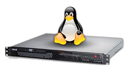 cpanel vps hosting